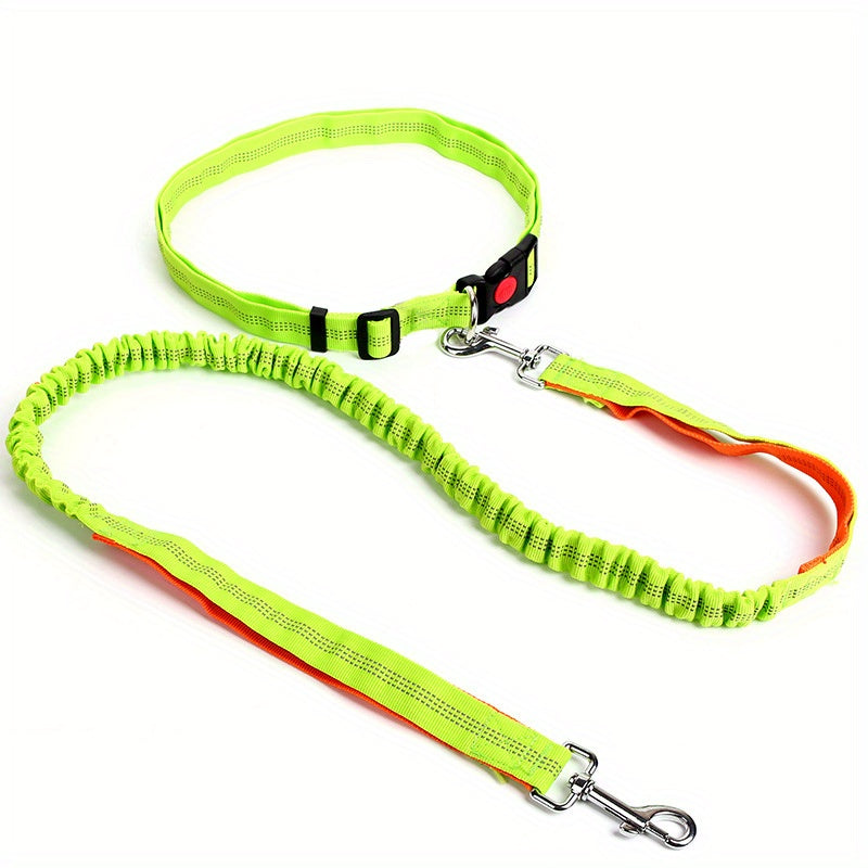 Ultimate Comfort Dog Leash - Homly Nest