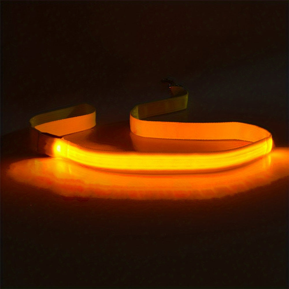 Glow & LED Dog Leash - Homly Nest