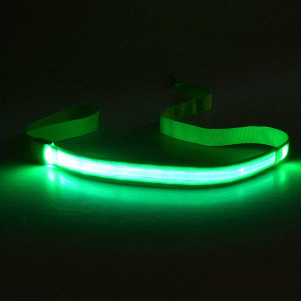 Glow & LED Dog Leash - Homly Nest