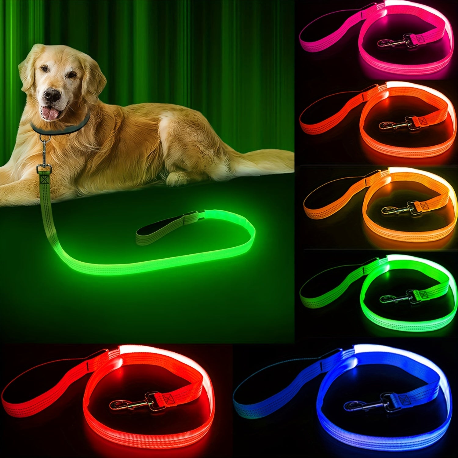 Glow & LED Dog Leash - Homly Nest