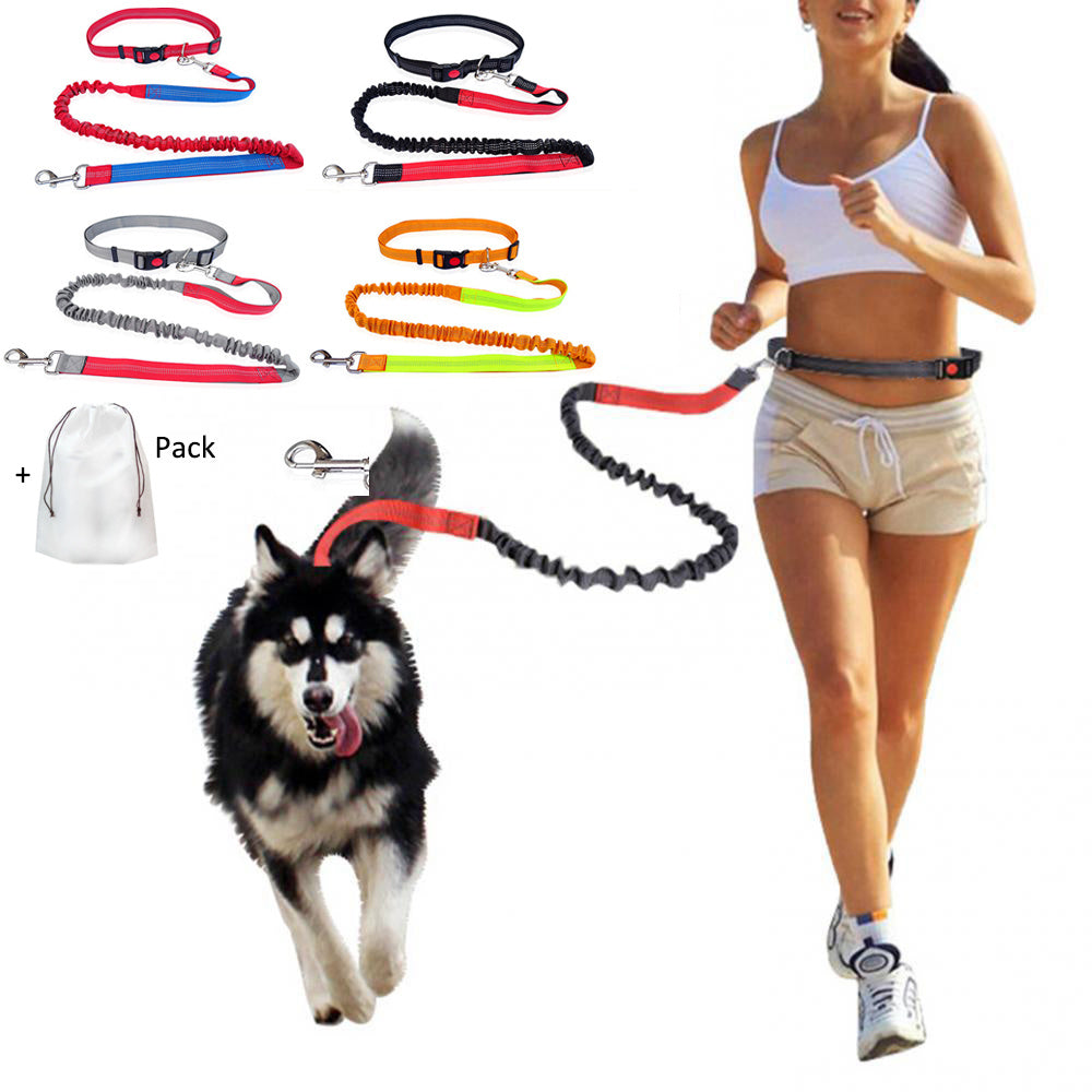 Ultimate Comfort Dog Leash - Homly Nest