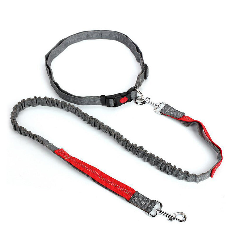 Ultimate Comfort Dog Leash - Homly Nest