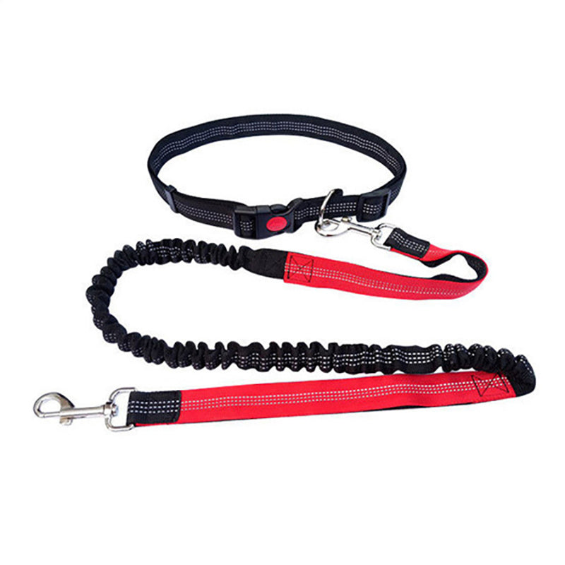 Ultimate Comfort Dog Leash - Homly Nest