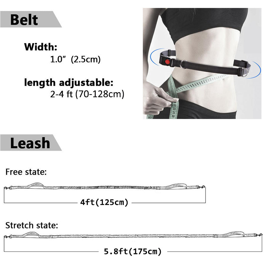 Ultimate Comfort Dog Leash - Homly Nest