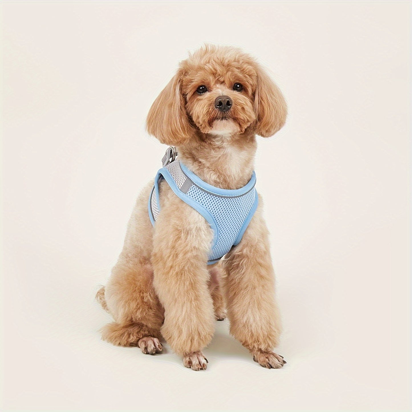 Ultimate Comfort Pet Harness Vest - Homly Nest