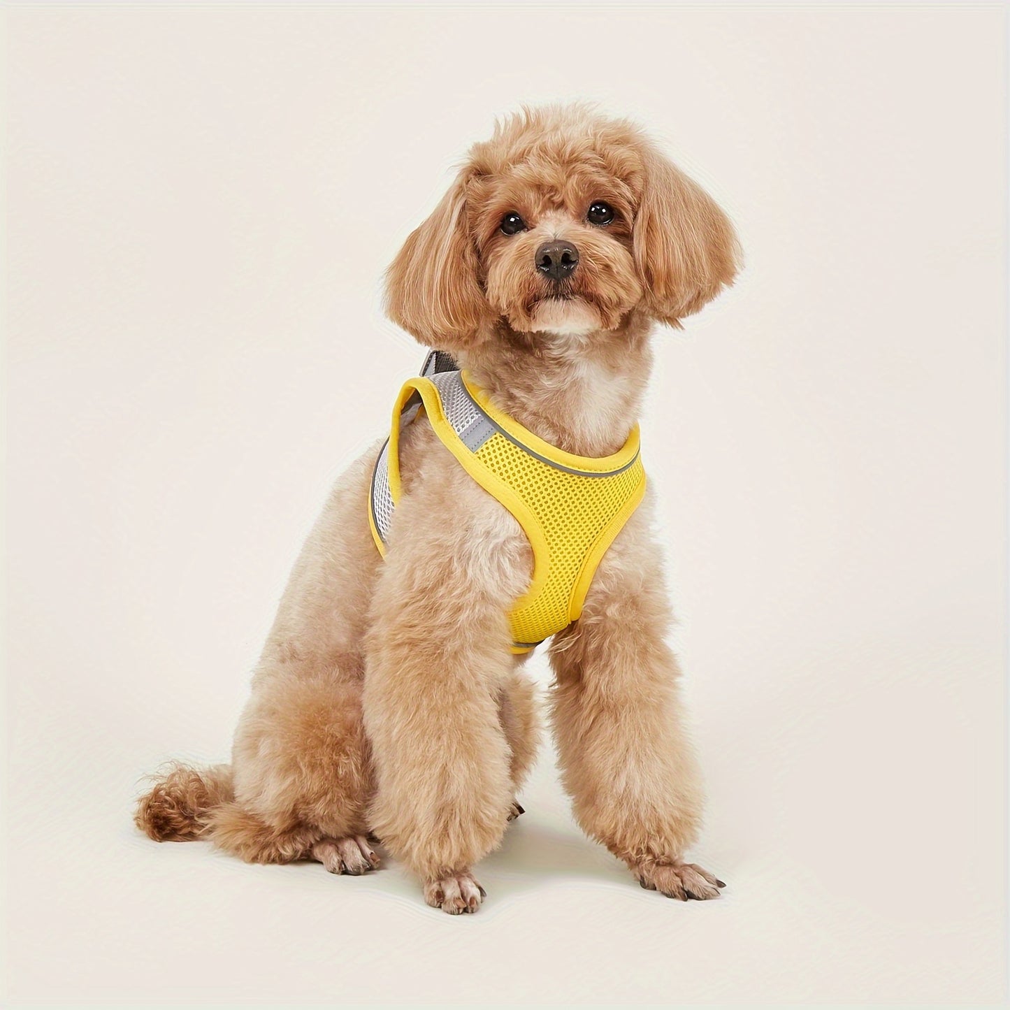 Ultimate Comfort Pet Harness Vest - Homly Nest
