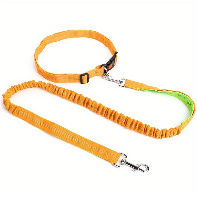 Ultimate Comfort Dog Leash - Homly Nest