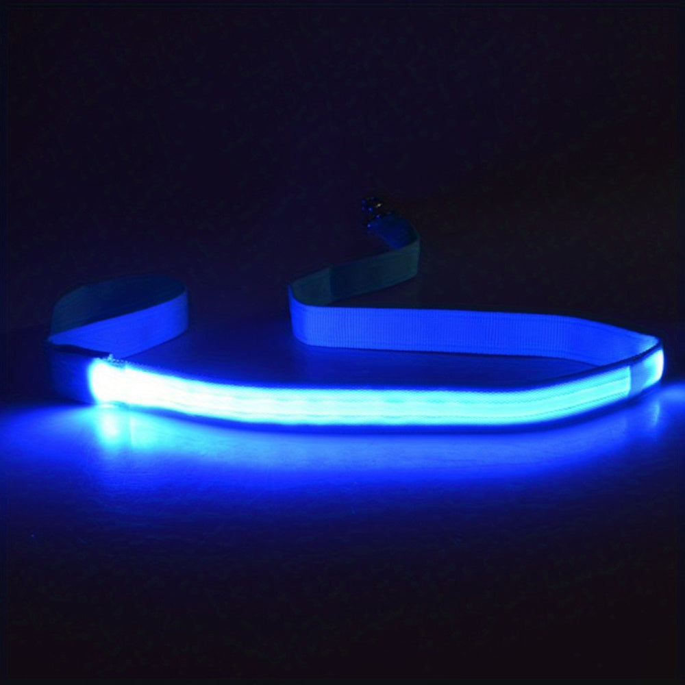 Glow & LED Dog Leash - Homly Nest