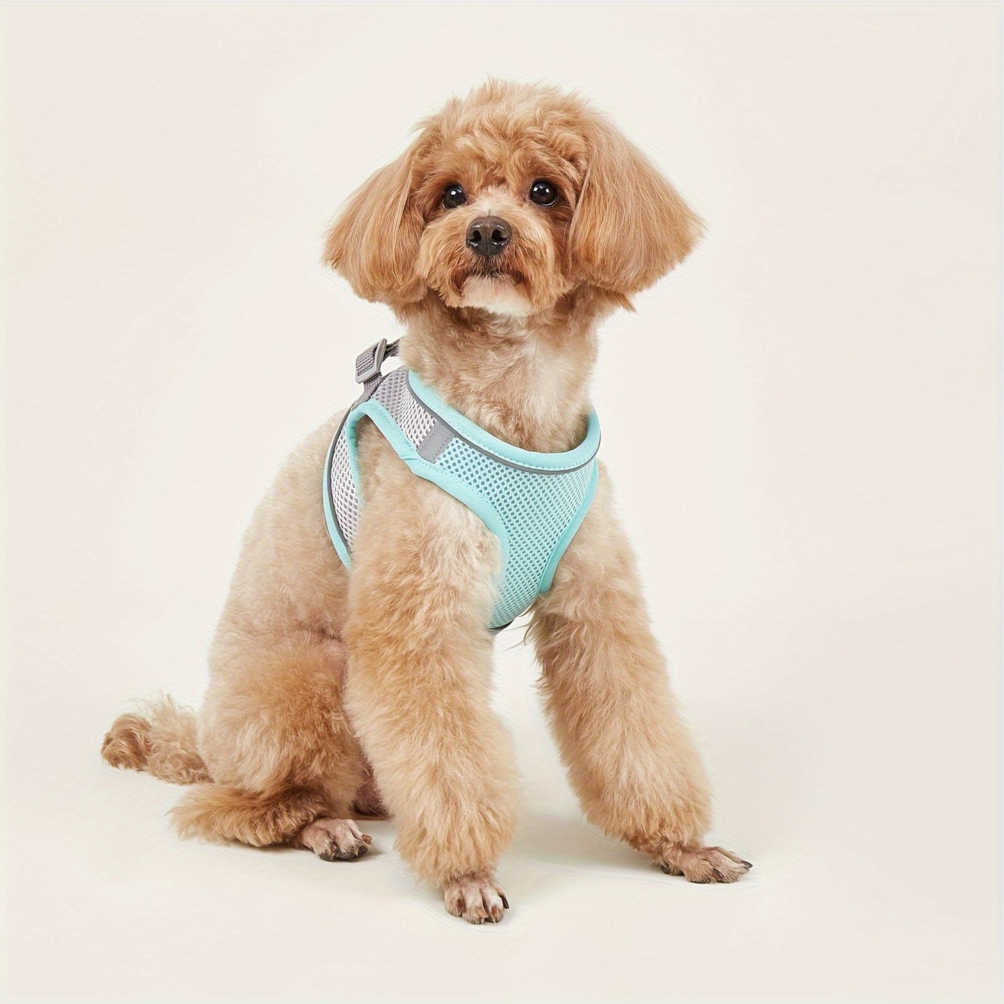 Ultimate Comfort Pet Harness Vest - Homly Nest