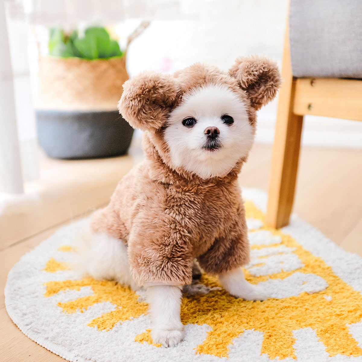 Warm Teddy Bear Pet Costume - Homly Nest