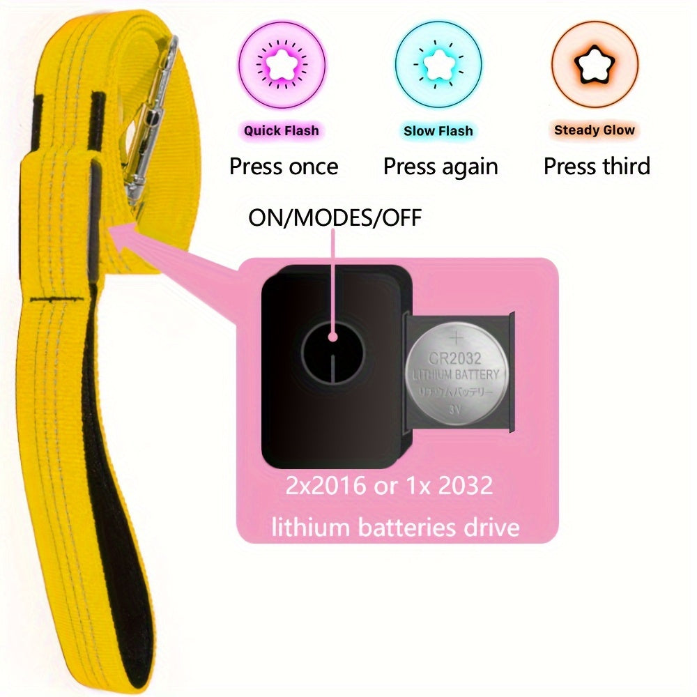 Glow & LED Dog Leash - Homly Nest