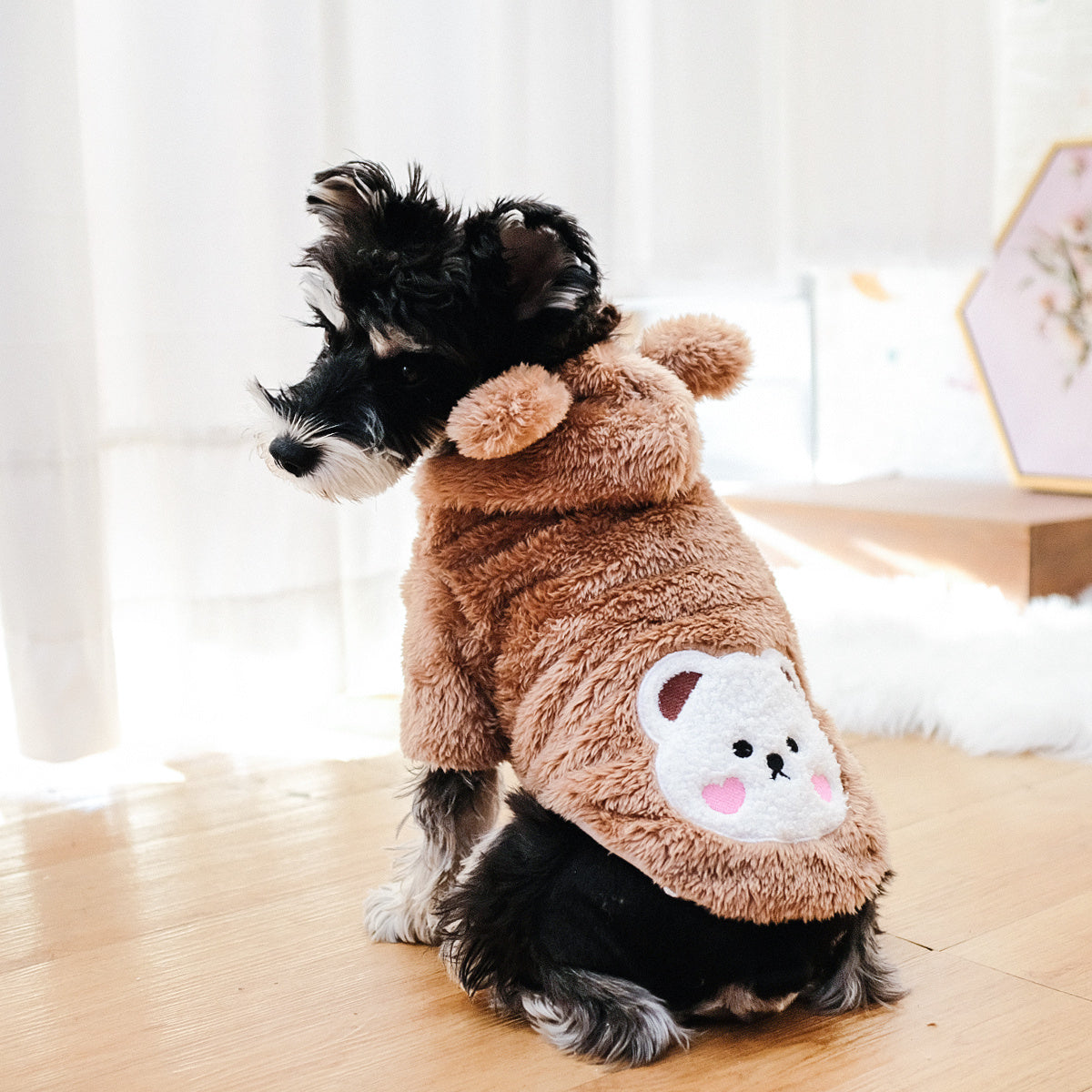 Warm Teddy Bear Pet Costume - Homly Nest