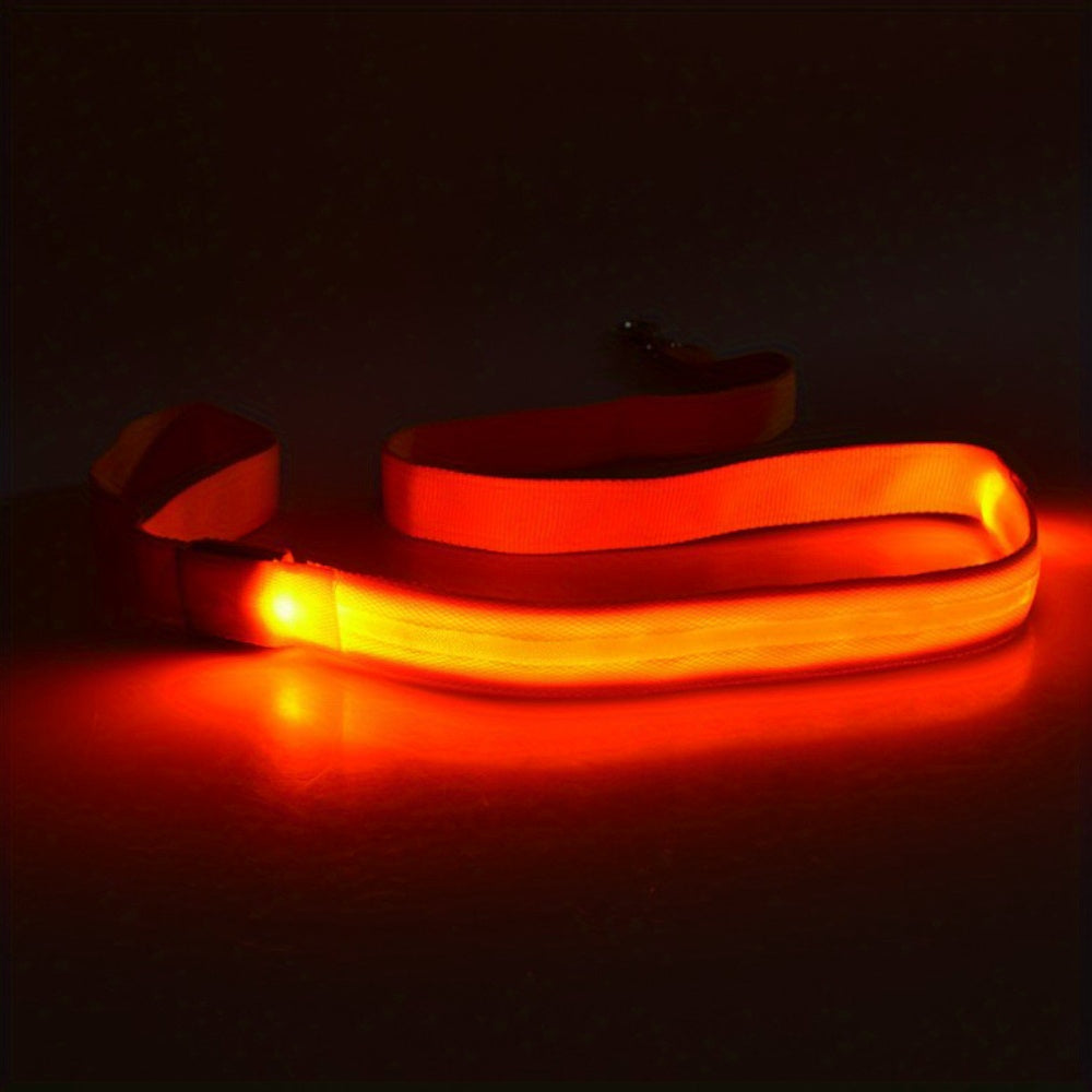 Glow & LED Dog Leash - Homly Nest
