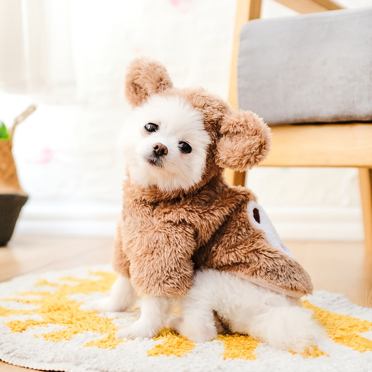 Warm Teddy Bear Pet Costume - Homly Nest
