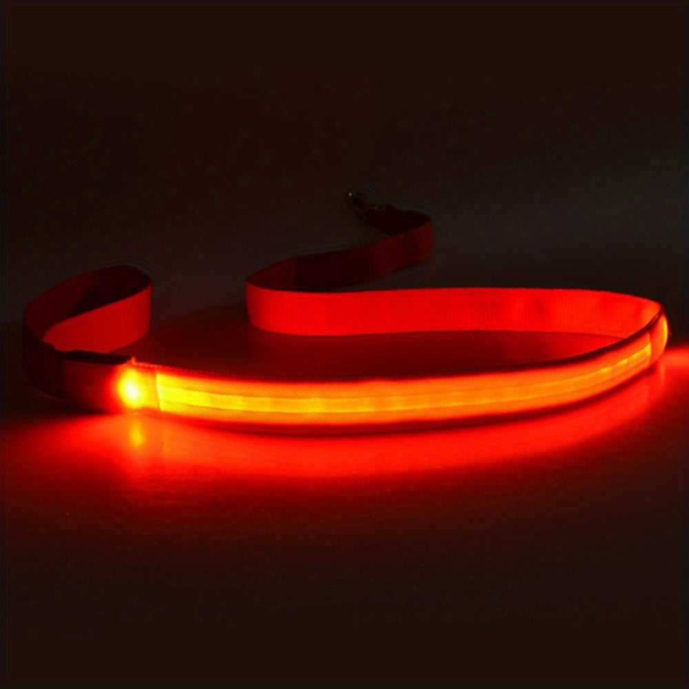 Glow & LED Dog Leash - Homly Nest