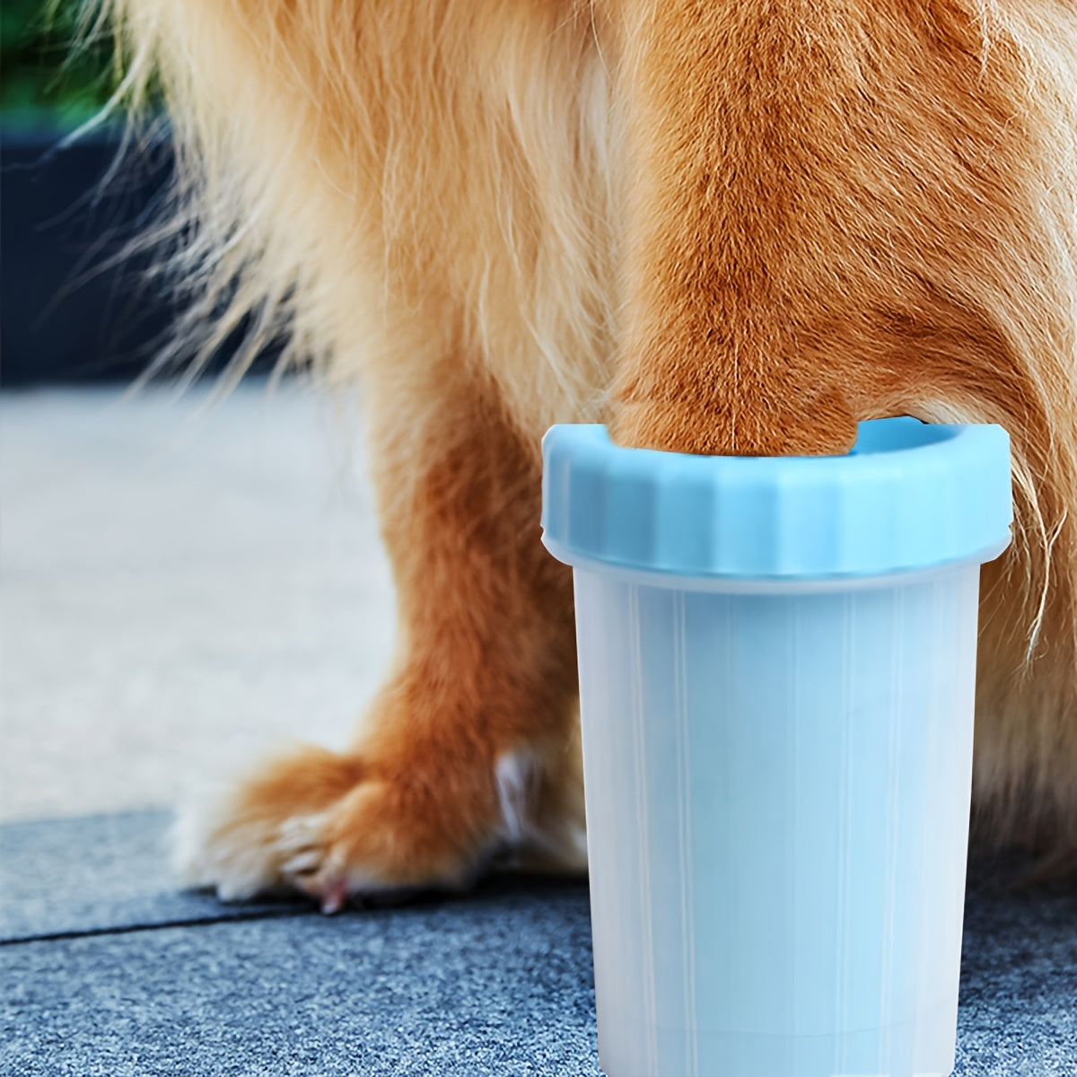 Pet Foot Washer Cup - Homly Nest